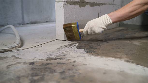 Top rated local Basement Waterproofing specialists in Harrodsburg, KY